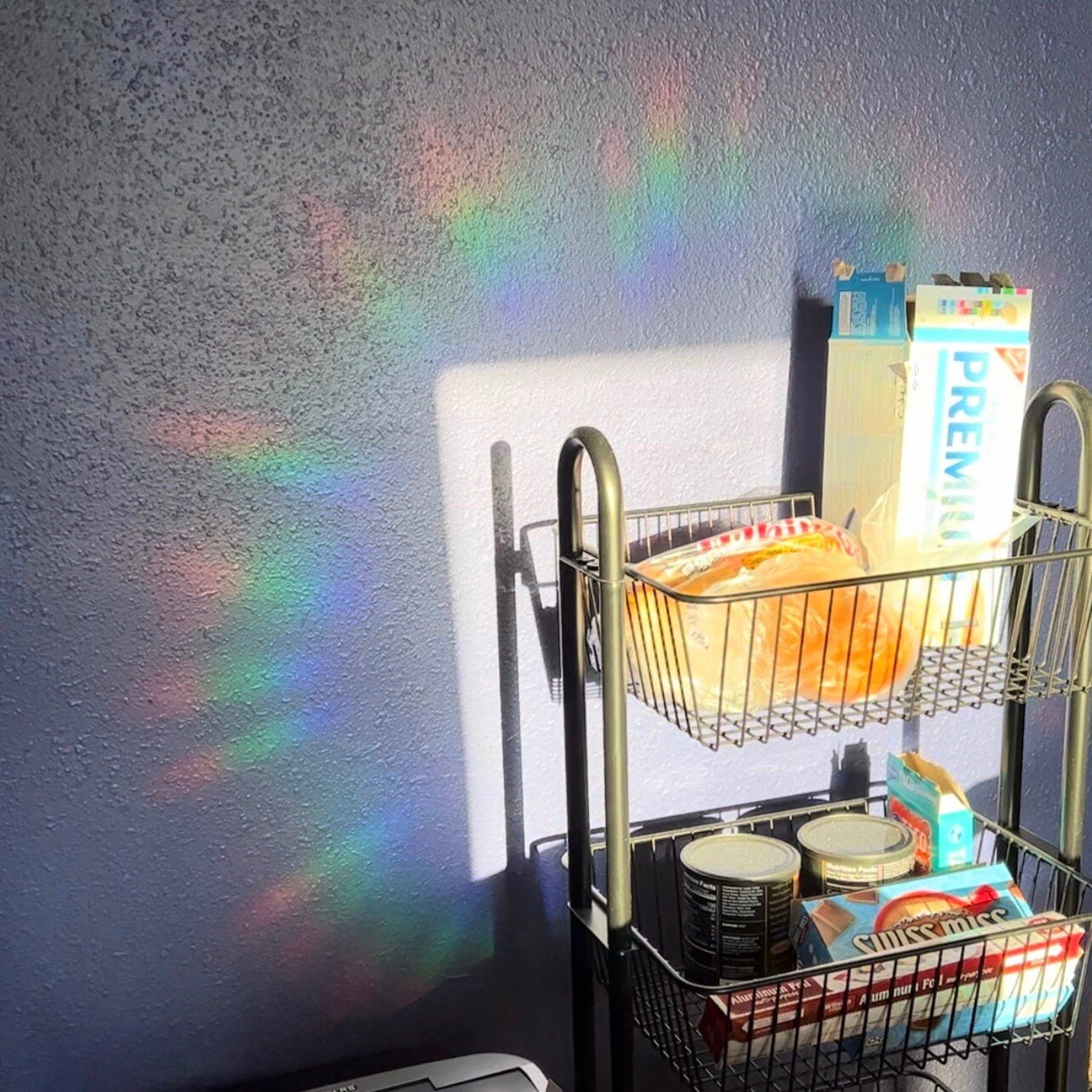 ANITEEZ Suncatcher Window Decals