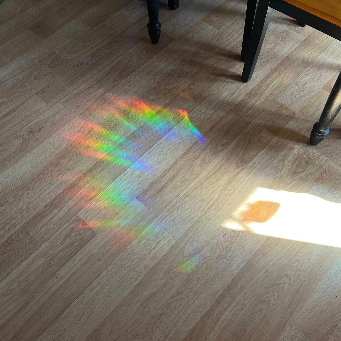 SKZOO Suncatcher Window Decals